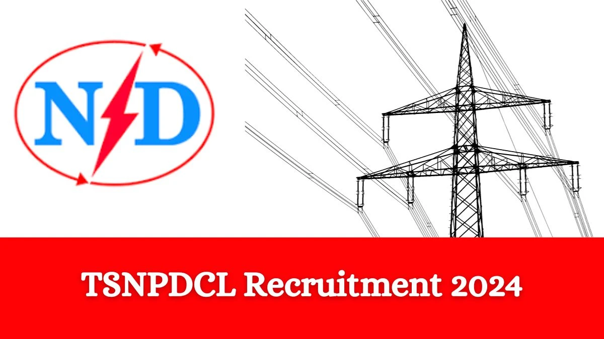 TSNPDCL Recruitment 2024 Notifications Apply Online Chairperson Jobs 30.12.2023