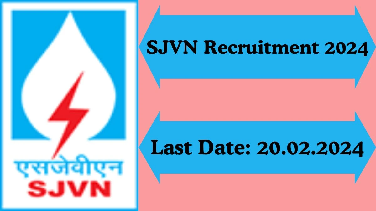 Application For Employment SJVN Recruitment 2024 Apply Chairman and Managing Director Vacancies at sjvnindia.com - Apply Now