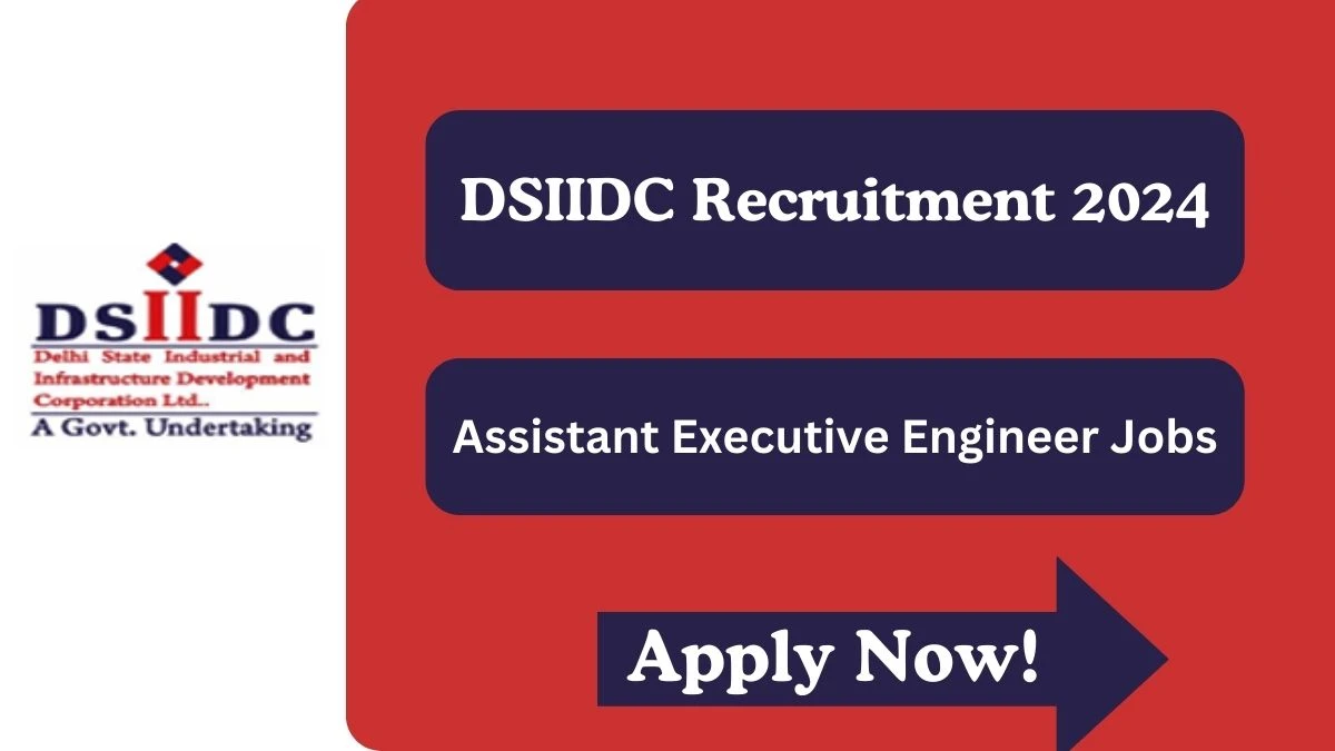 DSIIDC Recruitment 2024 Apply for Assistant Executive Engineer DSIIDC Vacancy online at dsiidc.org