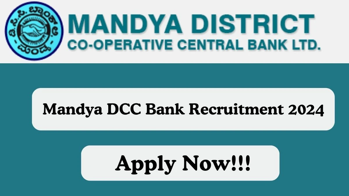 Mandya DCC Bank Recruitment 2024 Apply for Information Technology Chief Manager Mandya DCC Bank Vacancy online at mandyadccbank.com