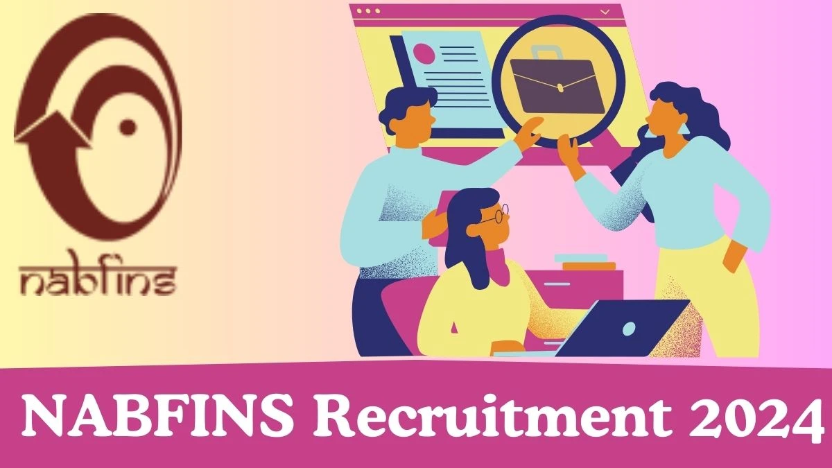 NABFINS Recruitment 2024 Customer Service Officer vacancy, Apply at nabfins.org