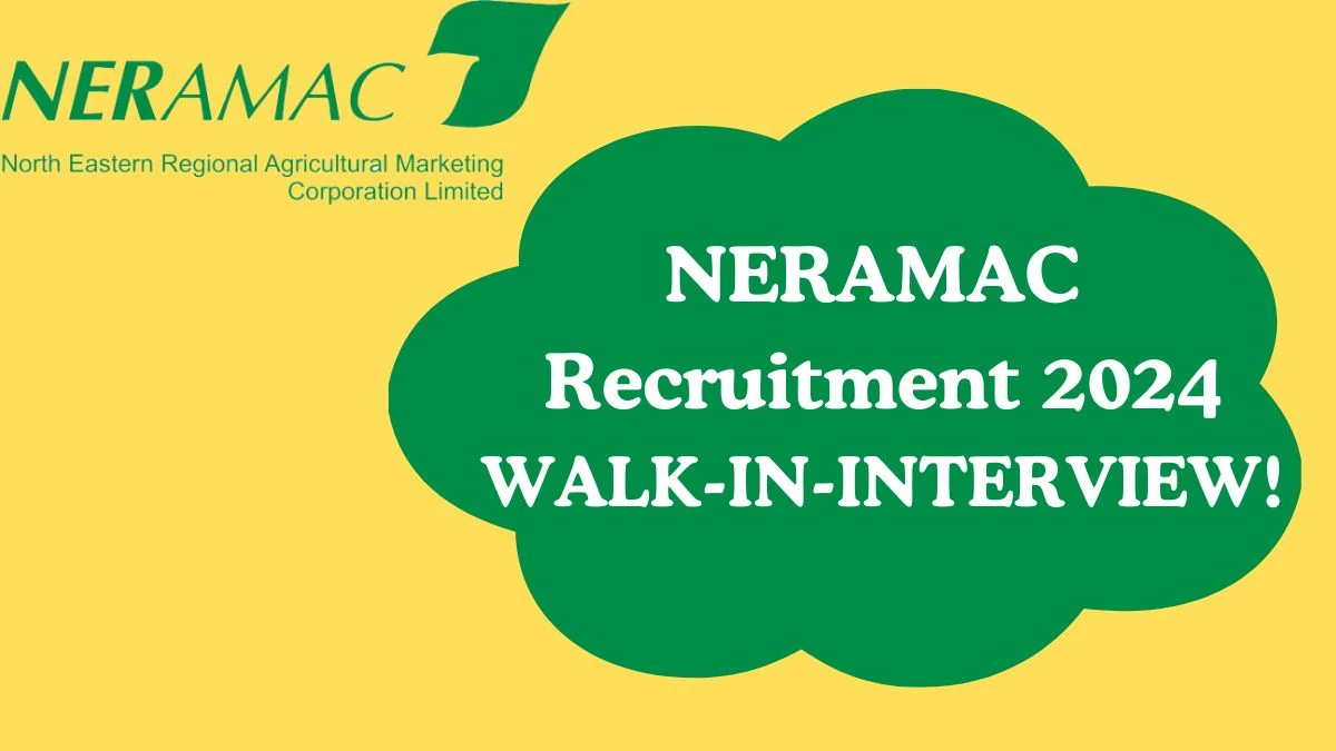 NERAMAC Recruitment 2024: Executives Job Vacancy, Eligibility, and Salary