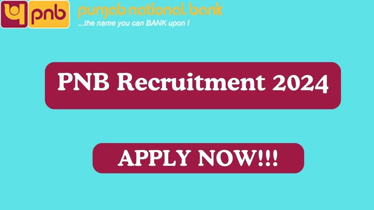 PNB Recruitment 2024 Apply for Various Advisor PNB Vacancy online at pnbindia.in