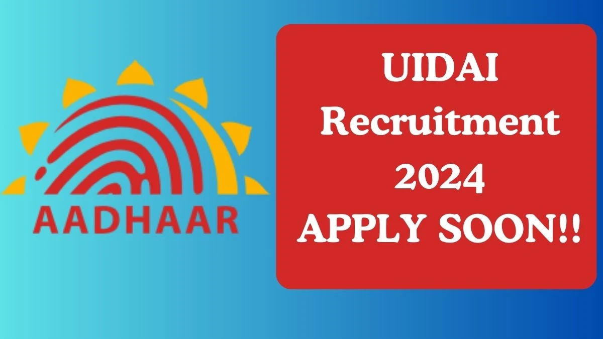 UIDAI Recruitment 2024 Consultant vacancy, Apply at uidai.gov.in
