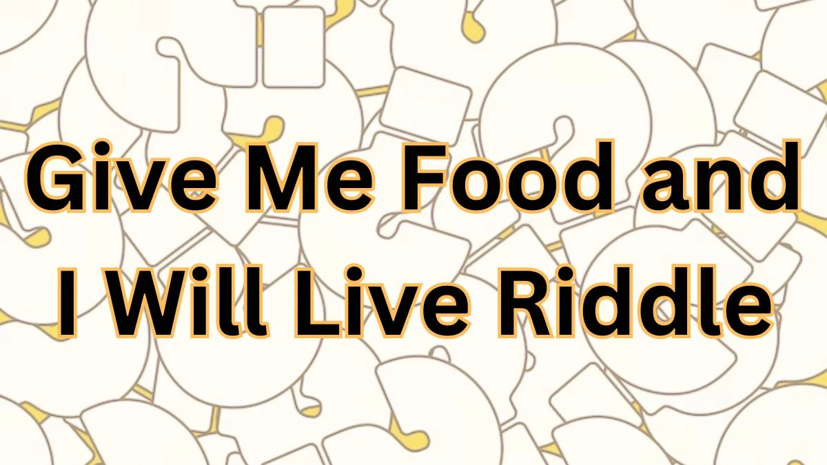 Feed Me And I Live, Yet Give Me A Drink And I Die. What Am I? Riddle Answer Explained