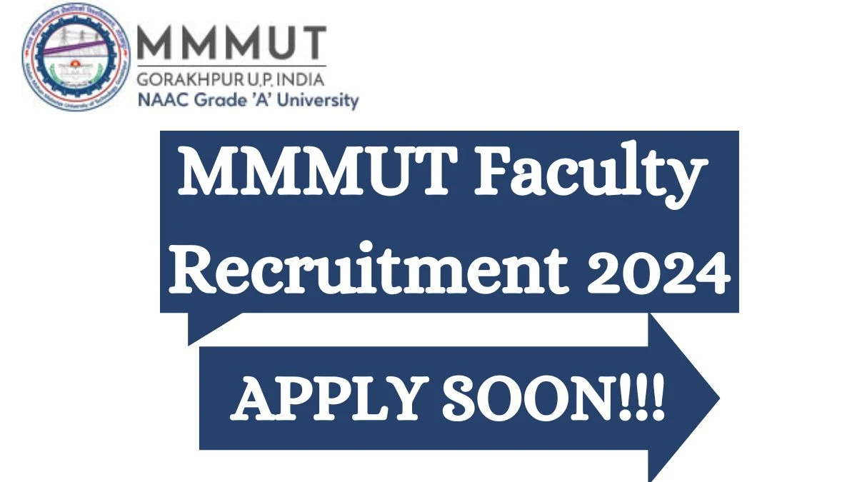 Application For Employment MMMUT Recruitment 2024 Apply Faculty Vacancies at mmmut.ac.in - Apply Now