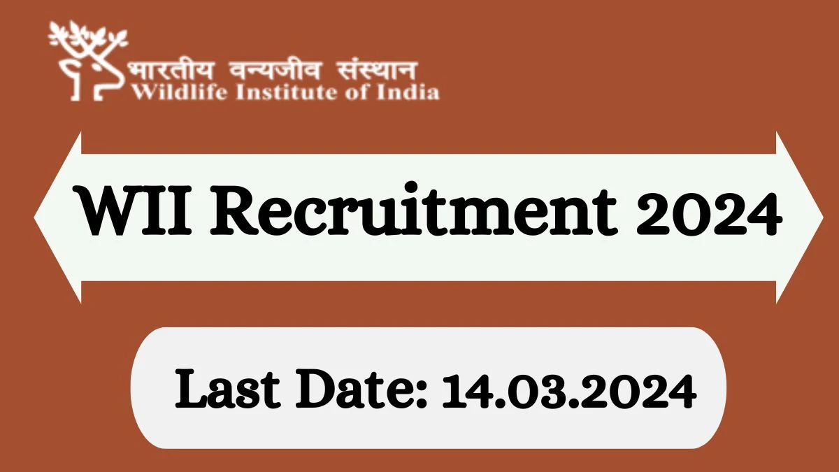 Application For Employment WII Recruitment 2024 Apply Lab Attendant, Driver, Technical Assistant Vacancies at wii.gov.in - Apply Now