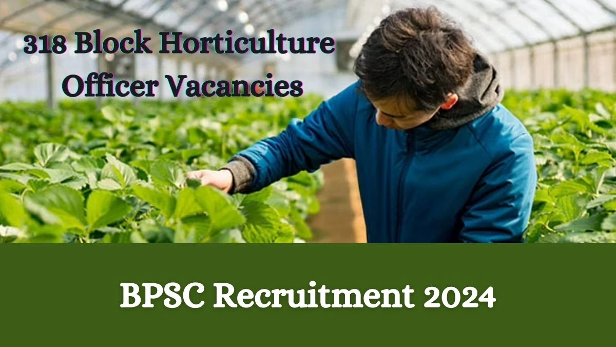 BPSC Recruitment 2024 Apply online now for 318 Block Horticulture Officer Job Vacancies Notification 26.02.2024