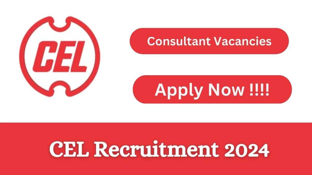 CEL Recruitment 2024 Notification for Consultant Vacancy 1 posts at celindia.co.in
