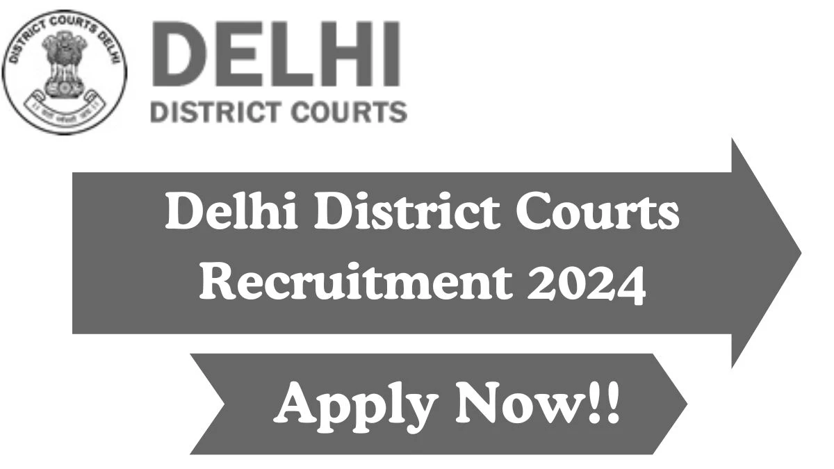 Delhi District Courts Recruitment 2024 Junior Judicial Assistant, Peon, More vacancy, Apply Online at delhicourts.nic.in