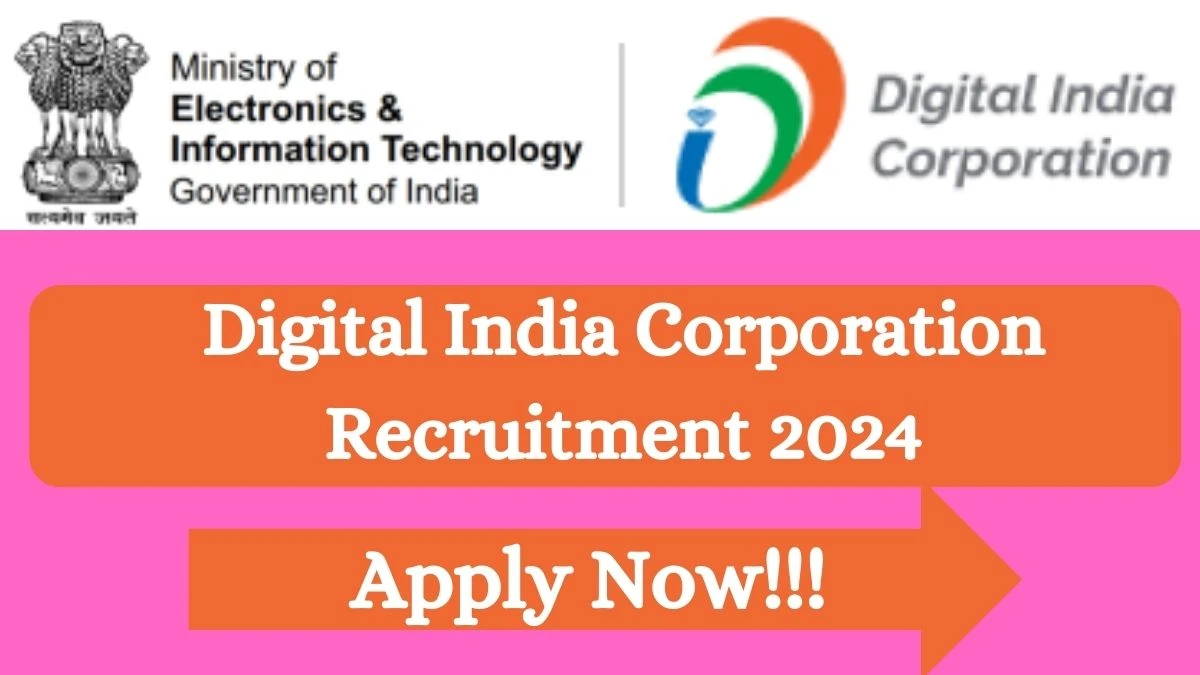 Digital India Corporation Recruitment 2024 Executive, Assistant Manager vacancy, Apply Online at dic.gov.in