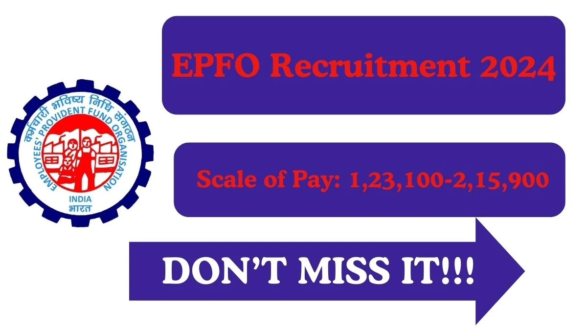 EPFO Recruitment 2024 Apply for Chief Technology Officer EPFO Vacancy at epfindia.gov.in