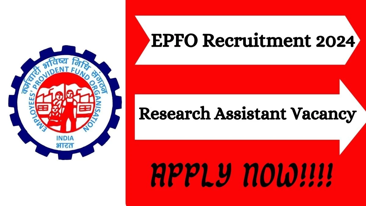 EPFO Recruitment 2024: Research Assistant Job Vacancy, Qualifications and How to apply