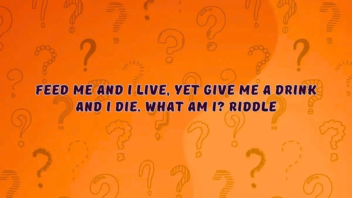 Feed Me And I Live, Yet Give Me A Drink And I Die. What Am I? Riddle Answer Explained