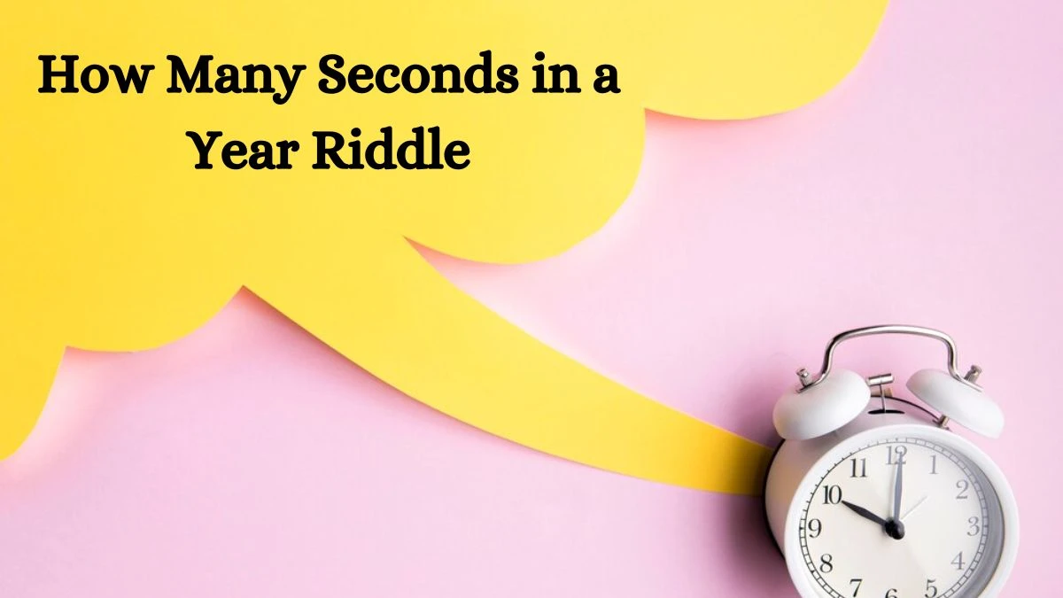 How Many Seconds in a Year Riddle and Answer