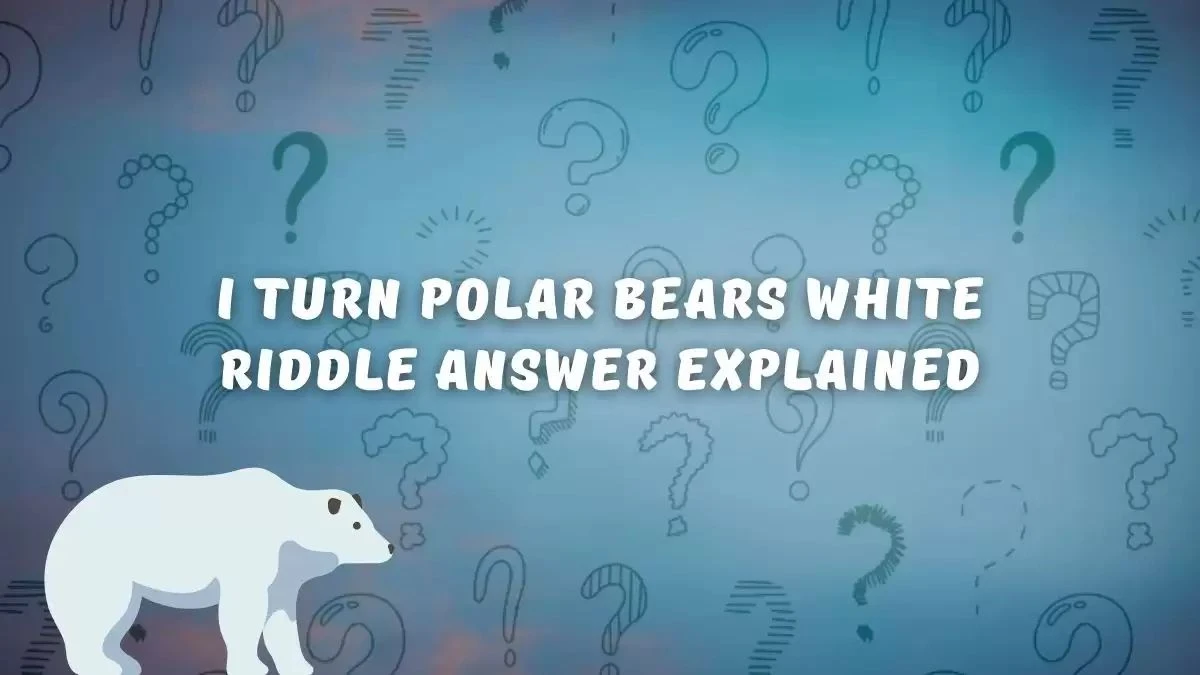I Turn Polar Bears White Riddle - Get the Answer Here