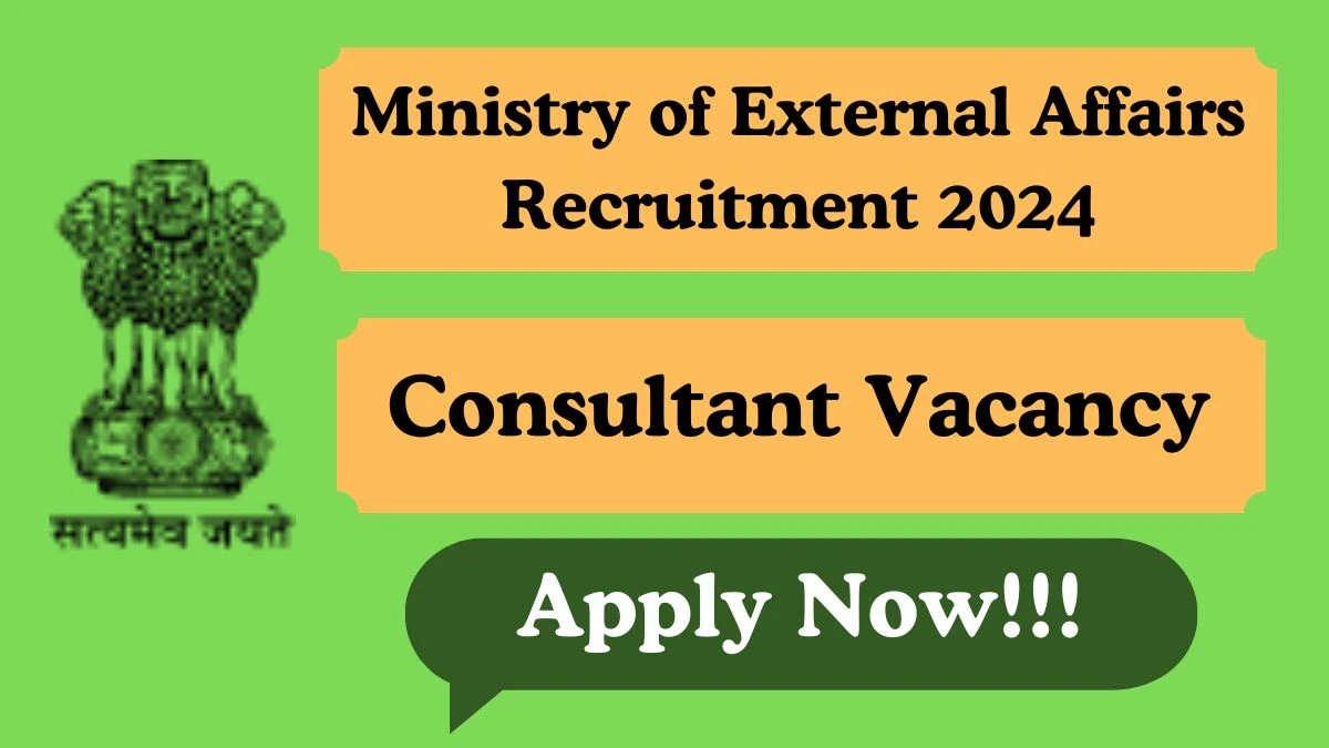 Ministry of External Affairs Recruitment 2024 Consultant vacancy apply at mea.gov.in - News