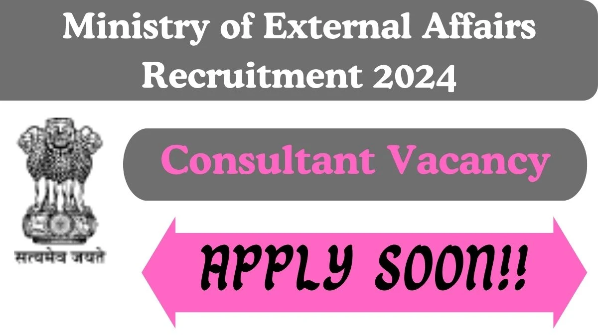 Ministry of External Affairs Recruitment 2024 Consultant vacancy, Apply Online at mea.gov.in