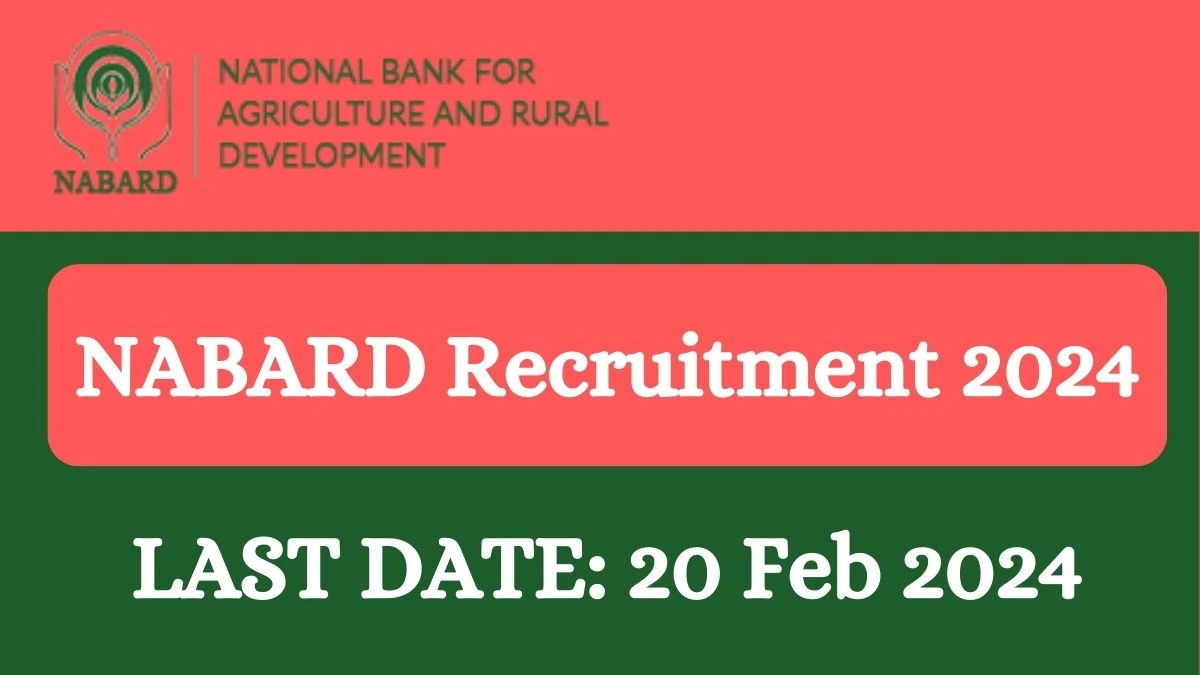 NABARD Recruitment 2024 BMO vacancy, Apply at nabard.org