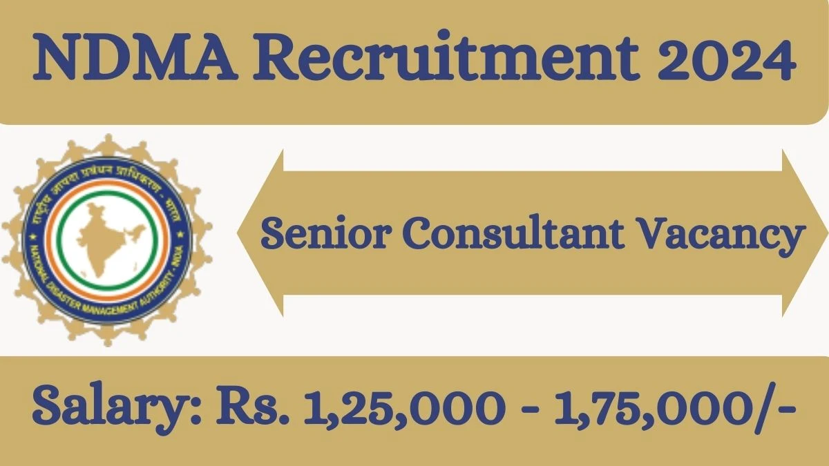 NDMA Recruitment 2024 Senior Consultant vacancy, Apply at ndma.gov.in