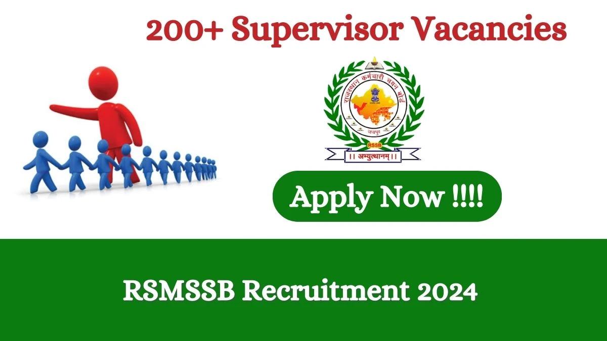 RSMSSB Recruitment 2024 Apply for 202 Supervisor RSMSSB Vacancy online at rsmssb.rajasthan.gov.in