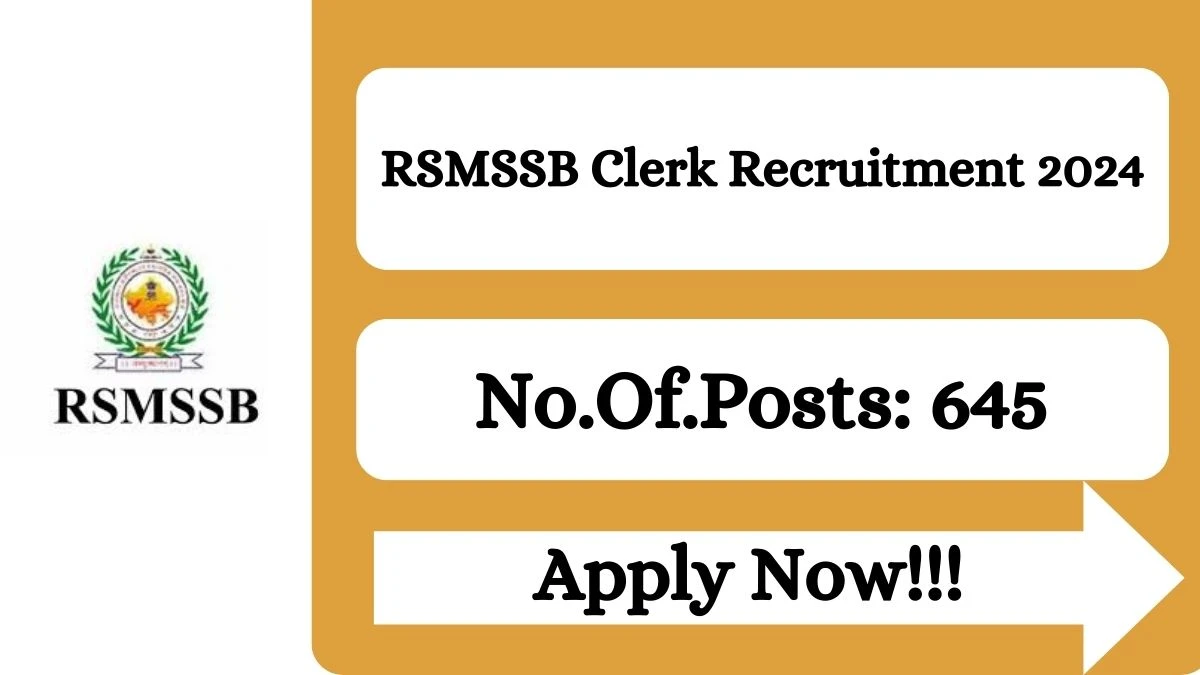 RSMSSB Recruitment 2024 Clerk Grade II, Junior Assistant vacancy, Apply Online at rsmssb.rajasthan.gov.in