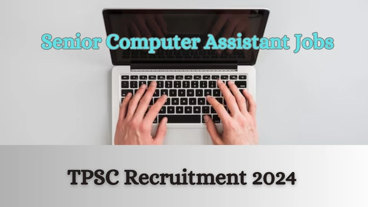 TPSC Recruitment 2024 Apply online now for Senior Computer Assistant Job Vacancies Notification 24.02.2024