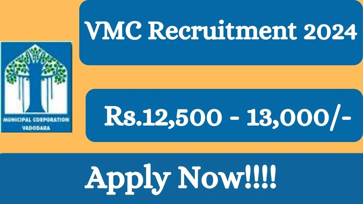 VMC Recruitment 2024 Apply for Accountant cum Data Entry Operator, ANM, Pharmacist cum Data Assistant VMC Vacancy online at vmc.gov.in