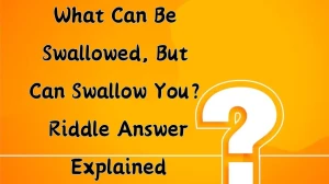What Can Be Swallowed, But Can Swallow You? Riddle Answer Explained