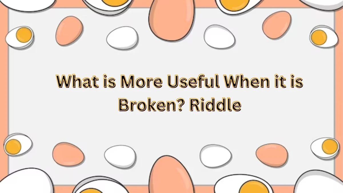 What is More Useful When it is Broken? Riddle and Its Answer