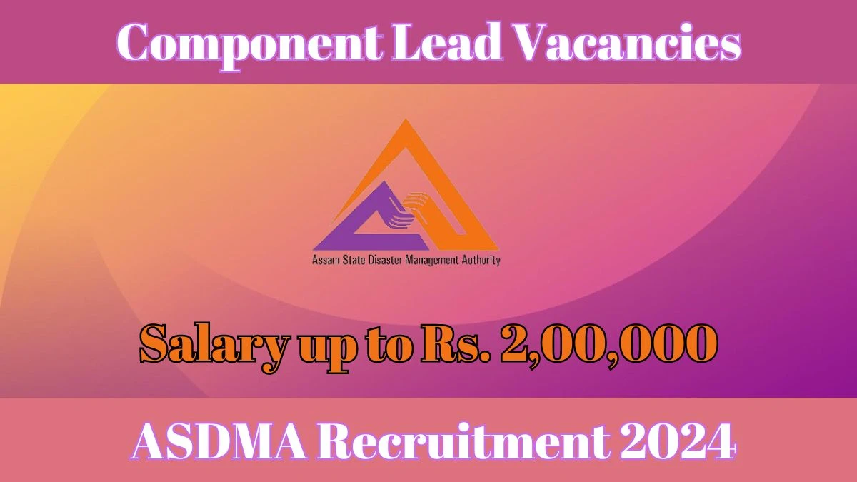 ASDMA Recruitment 2024 | 02 Component Lead vacancies Apply Now