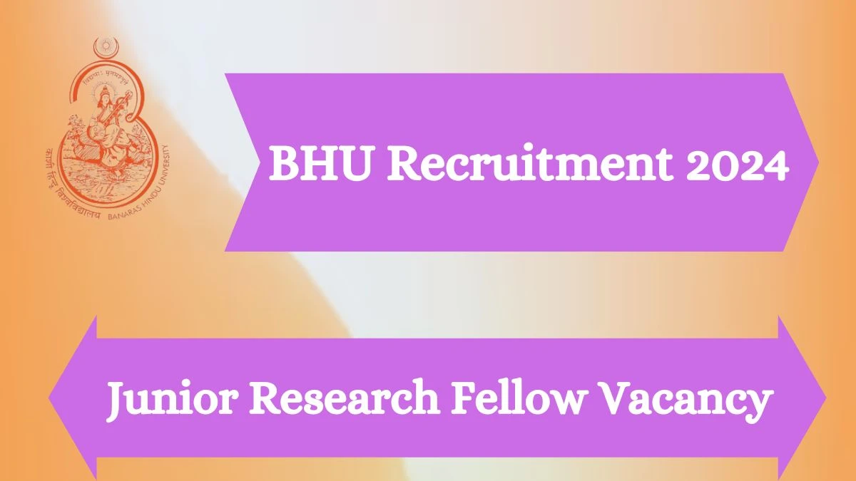 BHU Recruitment 2024 - Latest Junior Research Fellow Vacancies on 28 March 2024