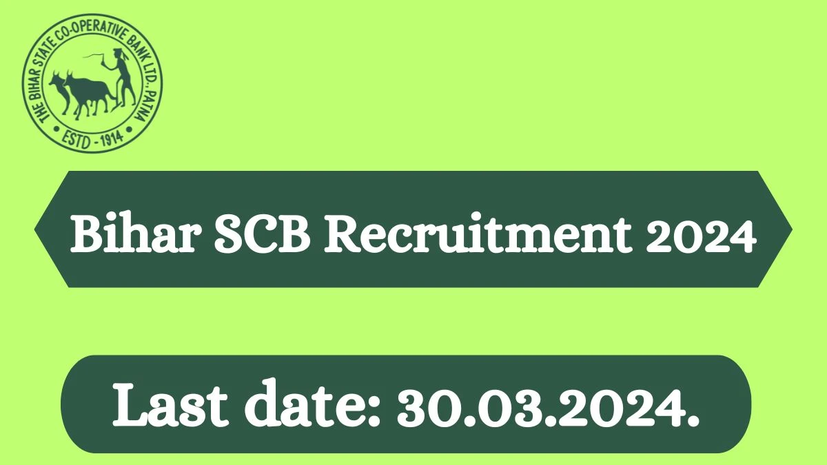 Bihar SCB Recruitment 2024 - Latest Social Mobilization Expert,Information Technology More Vacancies on 18 March 2024