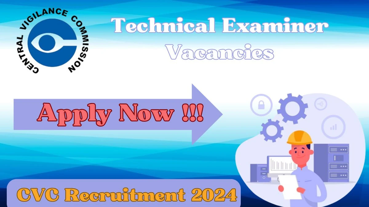 CVC Recruitment 2024 - Latest Technical Examiner Vacancies