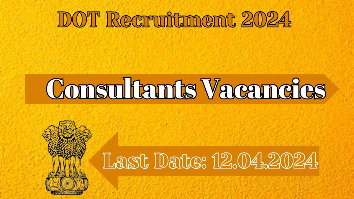 DOT Recruitment 2024 - 03 Consultants Jobs Updated On 28th Mar 2024