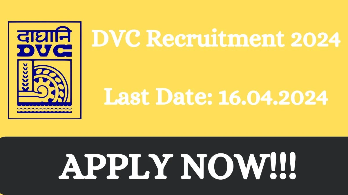 DVC Recruitment 2024 - Executive Trainees, Junior Engineers, Mine Surveyor Jobs Updated On 19 Feb 2024