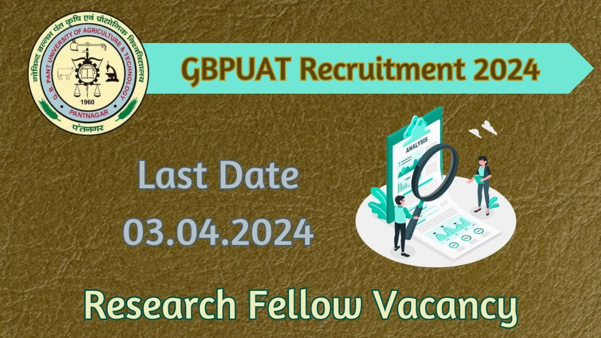 Latest GBPUAT Recruitment 2024, Research Fellow Jobs - Apply Immediately!