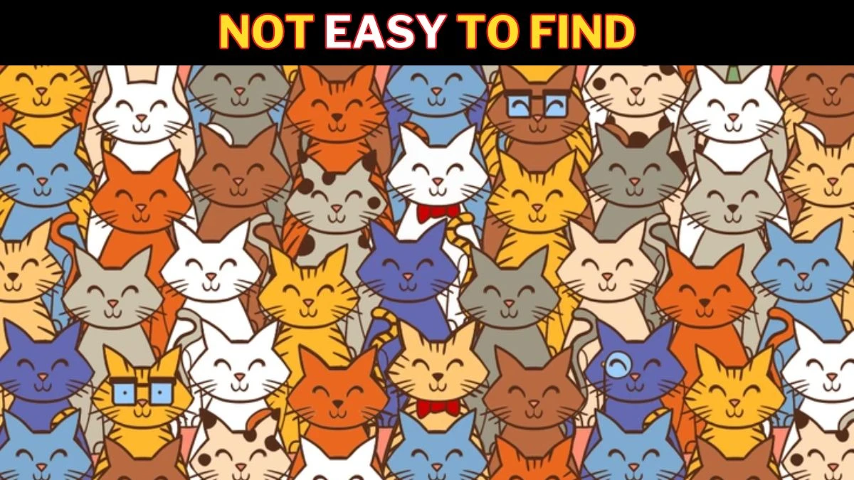 Optical Illusion Visual Test: Can You find the Hidden Rabbit among these Cats in 9 Secs?