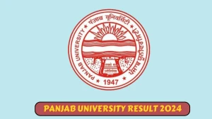 Panjab University Result 2024 (Announced) at puchd.ac.in