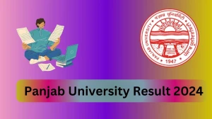 Panjab University Result 2024 (Declared) at puchd.ac.in