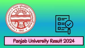 Panjab University Result 2024 (Released) at puchd.ac.in