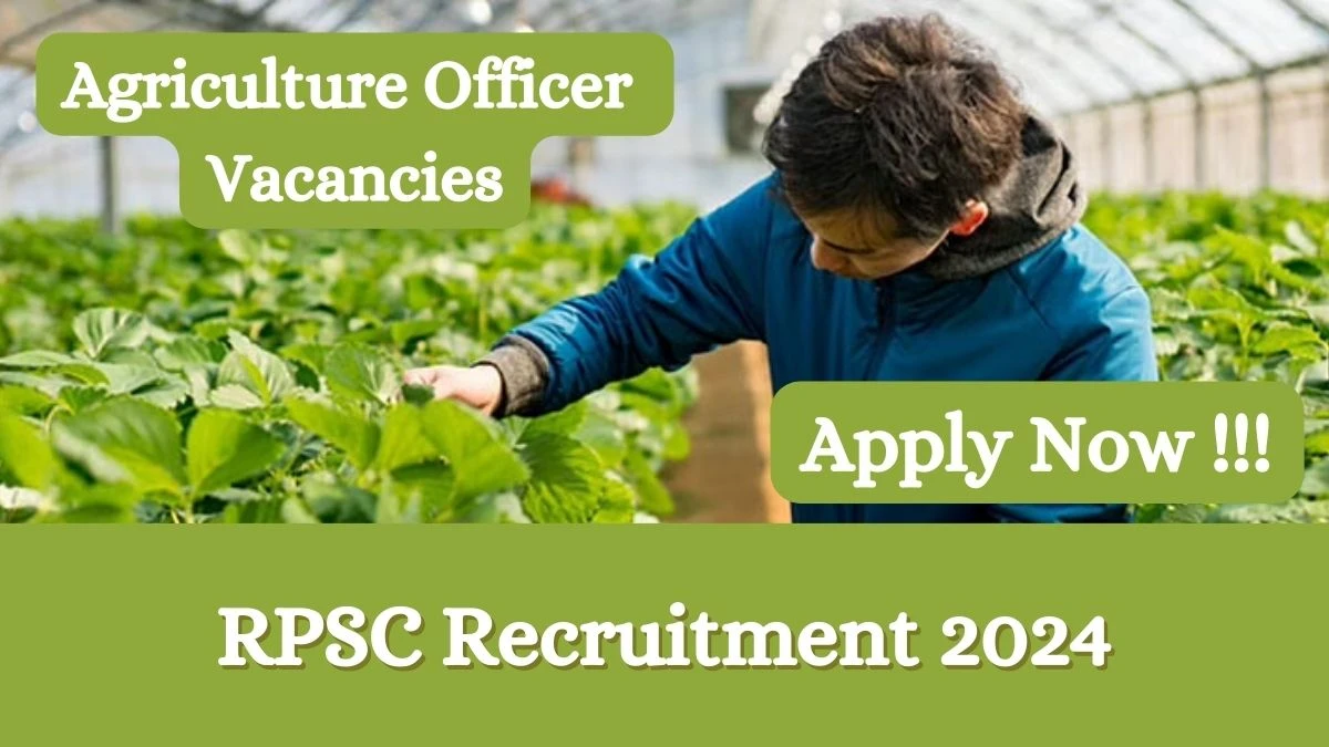 RPSC Recruitment 2024 Apply online now for Agriculture Officer Job Vacancies Notification 01.03.2024