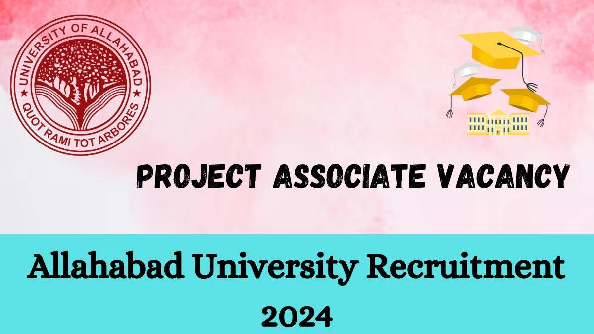 Allahabad University Recruitment 2024 - Latest Project Associate Vacancies on 01 April 2024