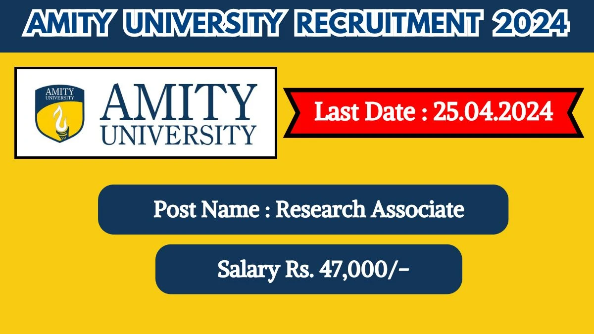 Amity University Recruitment 2024 New Notification Out, Check Post, Age Limit, Qualification, Salary And Other Important Details 