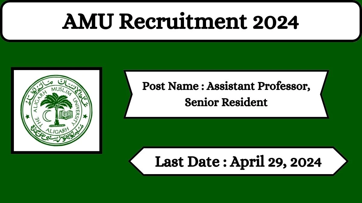 AMU Recruitment 2024 Check Posts, Qualification, Selection Process And How To Apply