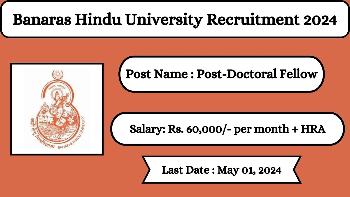 Banaras Hindu University Recruitment 2024 Check Posts, Salary, Qualification, Age Limit And How To Apply