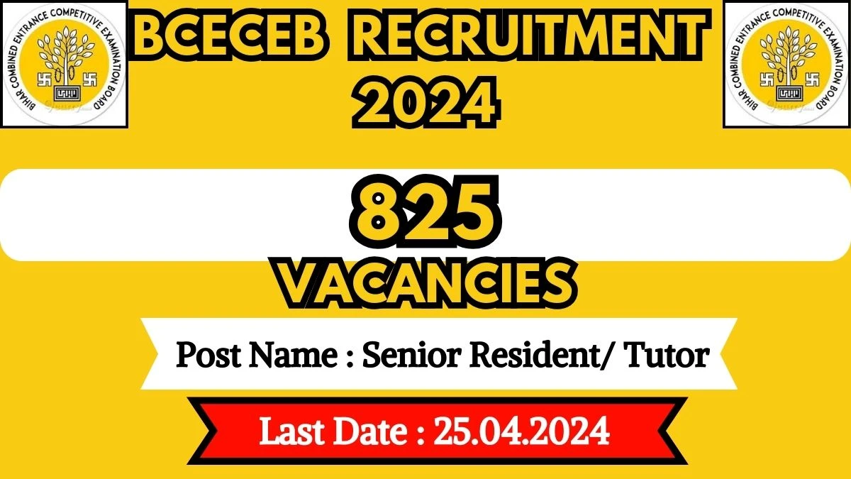 BCECEB Recruitment 2024 Notification Out For 825 Vacancies, Check Posts, Pay Scale, Qualification, Selection Process And Process To Apply