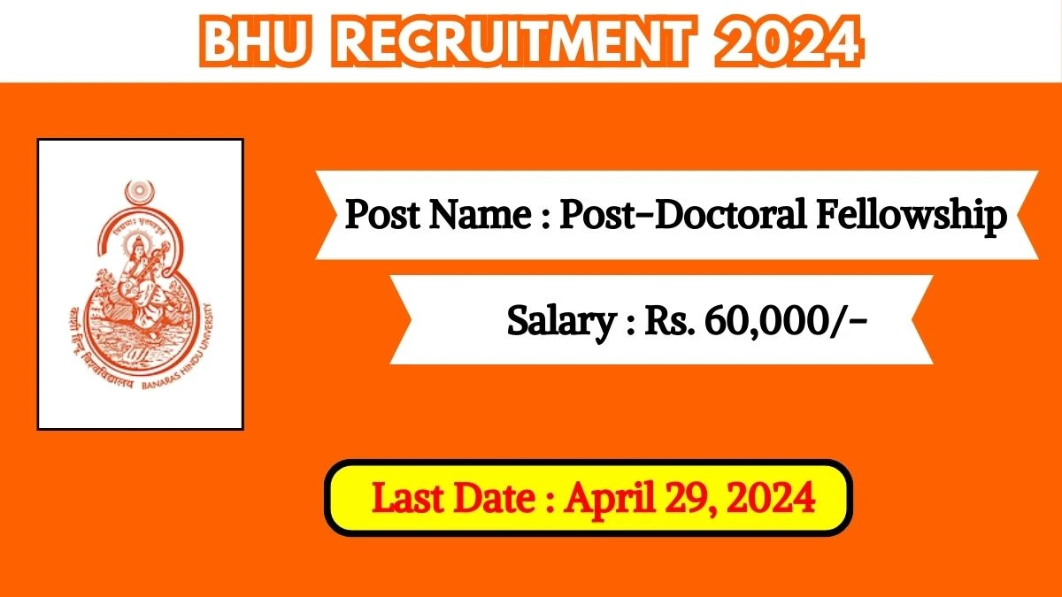 BHU Recruitment 2024 Check Posts, Salary, Qualification, Age Limit And How To Apply