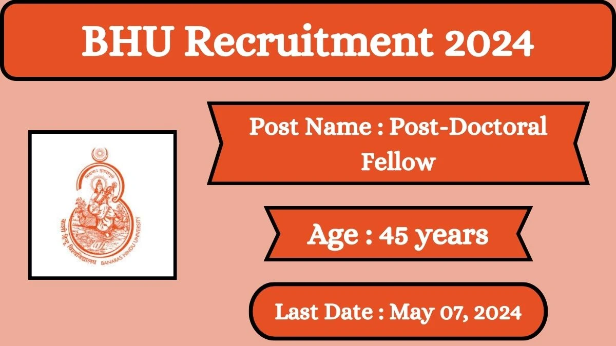 BHU Recruitment 2024 Check Posts, Salary, Qualification, Age Limit And How To Apply
