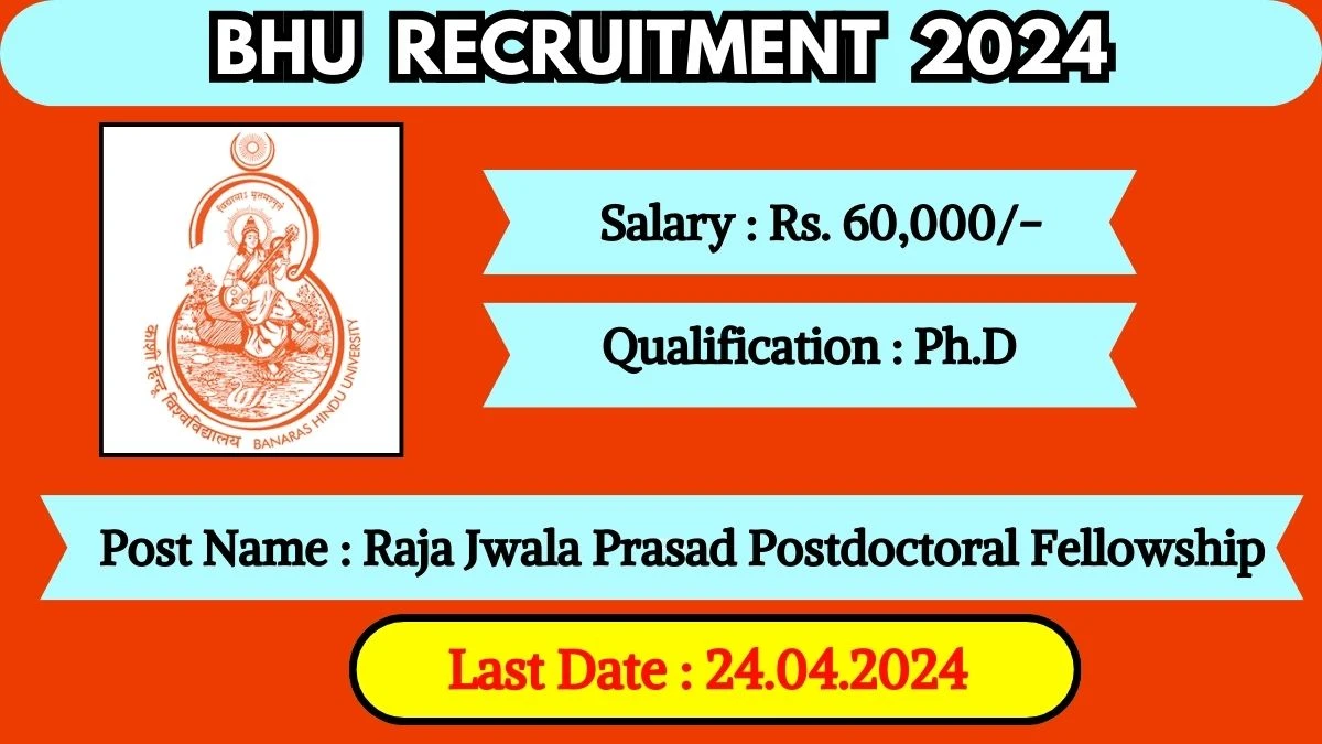 BHU Recruitment 2024 New Notification Out, Check Post, Salary, Qualification, Age Limit and How to Apply